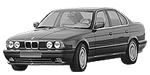 BMW E34 P1D6B Fault Code