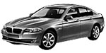 BMW F10 P1D6B Fault Code